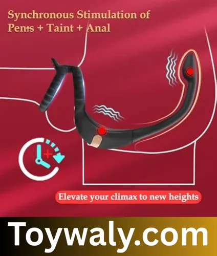 adult sex toys in for women