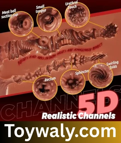 male and female sex toys